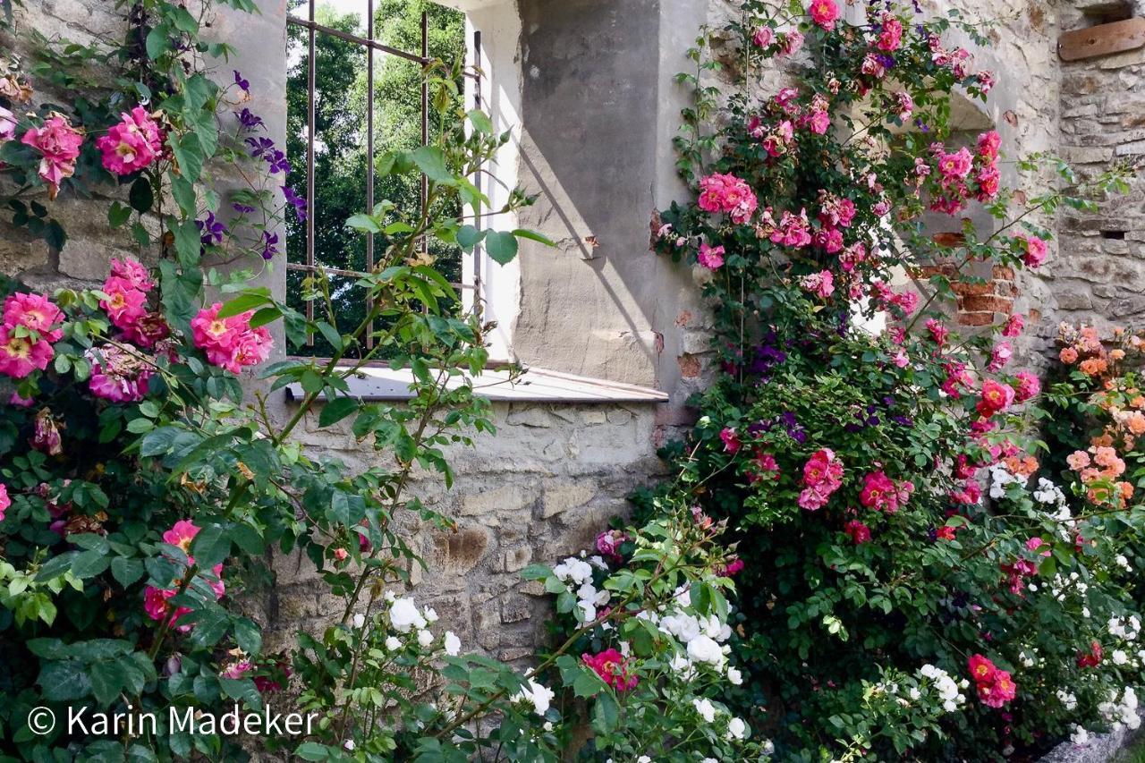Design Ferienwohnung Mit Bauerngarten Waldkirchen Bagian luar foto