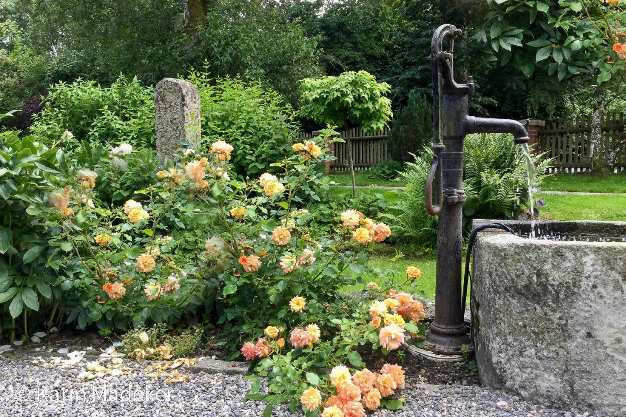 Design Ferienwohnung Mit Bauerngarten Waldkirchen Bagian luar foto