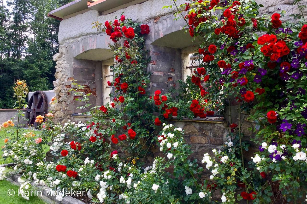 Design Ferienwohnung Mit Bauerngarten Waldkirchen Bagian luar foto
