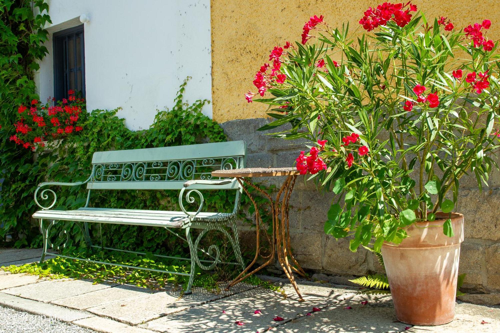 Design Ferienwohnung Mit Bauerngarten Waldkirchen Bagian luar foto
