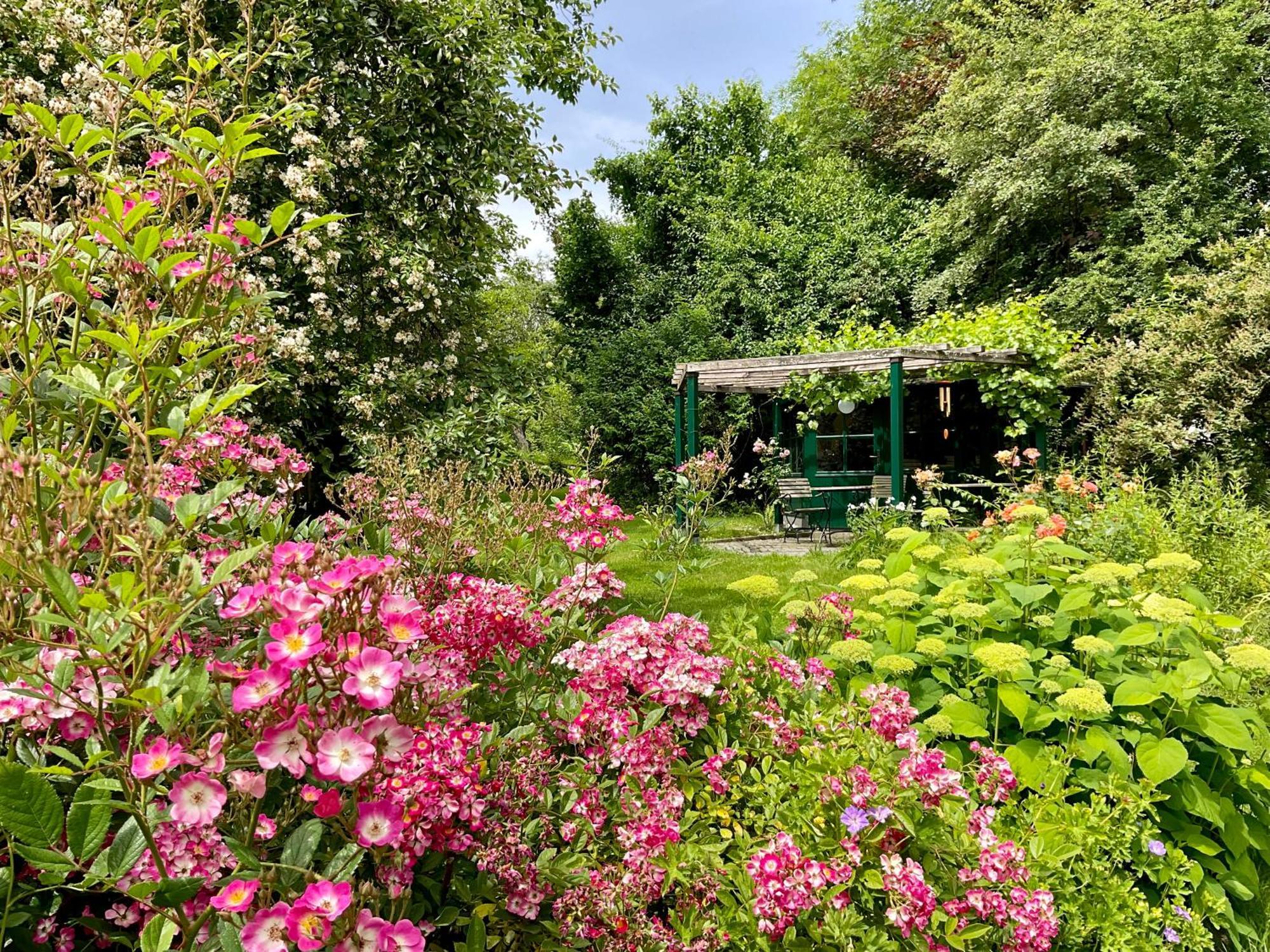 Design Ferienwohnung Mit Bauerngarten Waldkirchen Bagian luar foto
