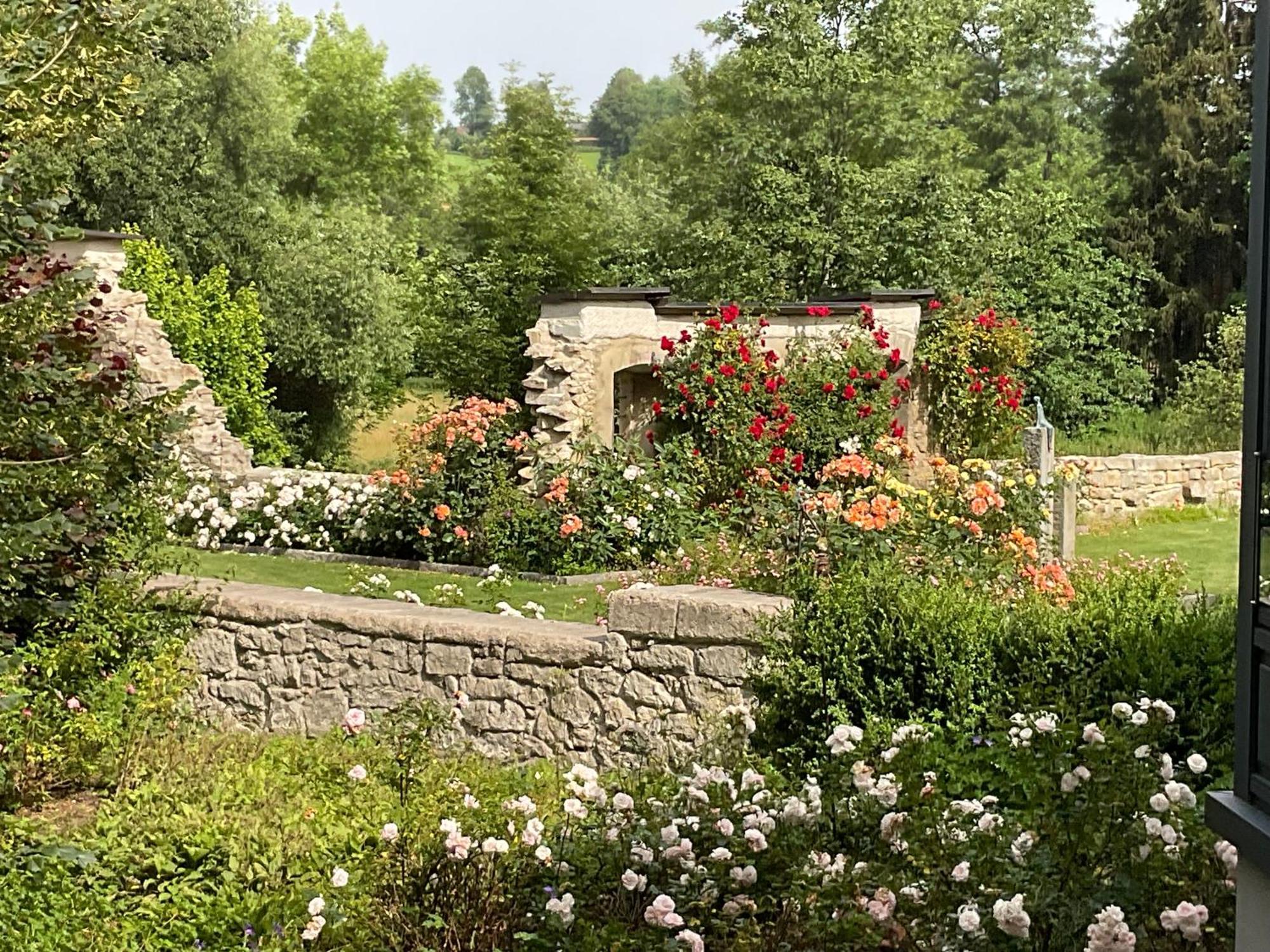 Design Ferienwohnung Mit Bauerngarten Waldkirchen Bagian luar foto